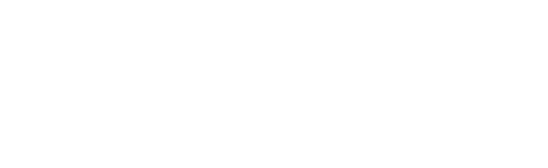 The Vein Center