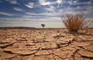 Cracked, dry earth in desert