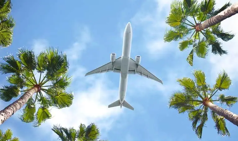 Airplane in the sky with palm trees in the view