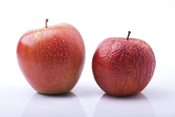 Two apples, one ripe the other wrinkled.